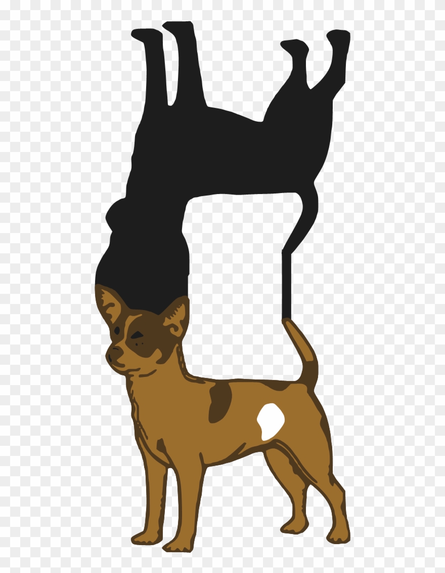 Chihuahua Clipart