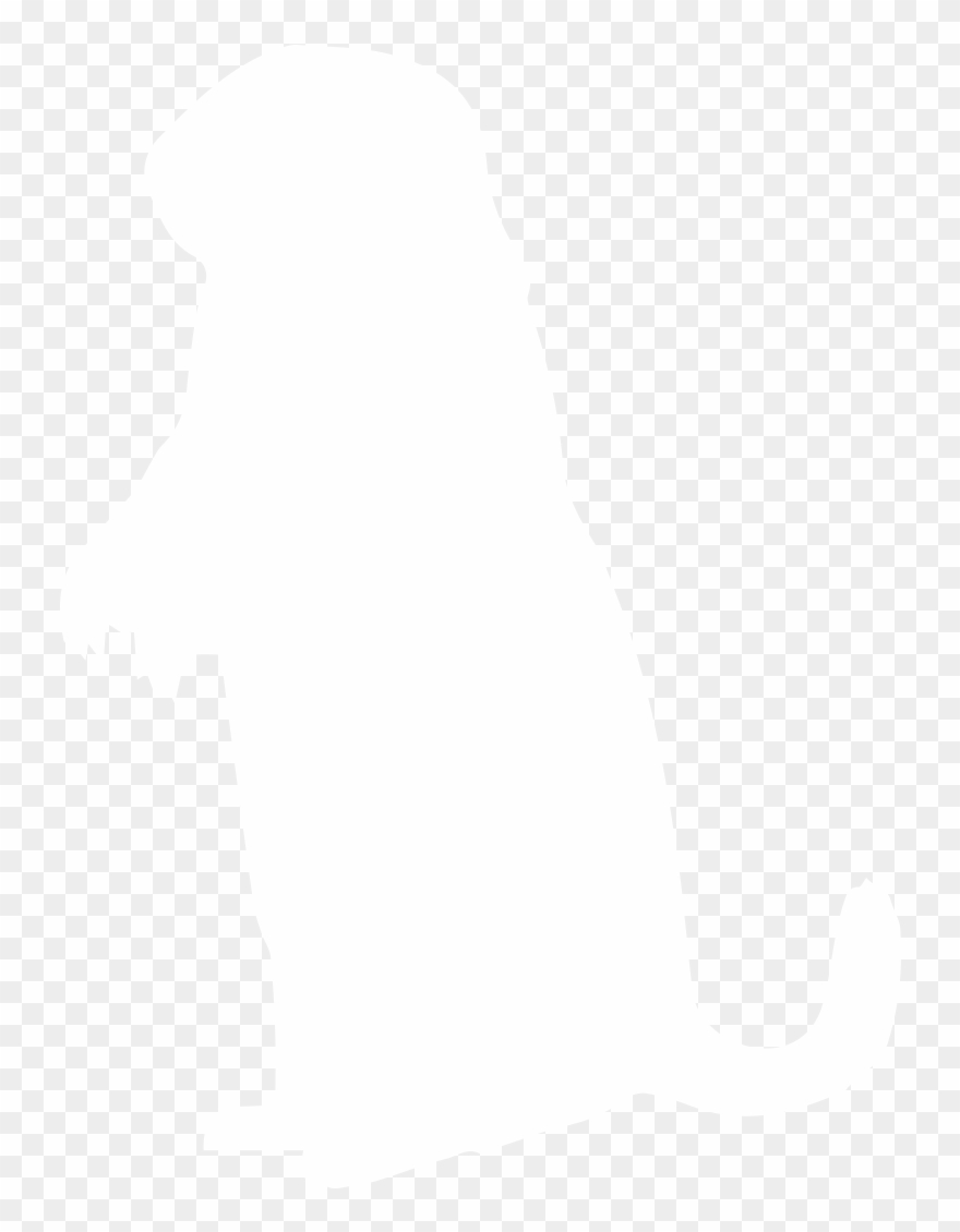 Wildlife Removal, Pest Control Clipart