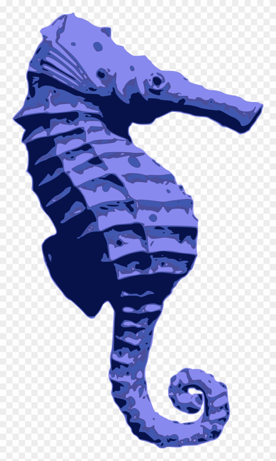 Blue Seahorse Clipart
