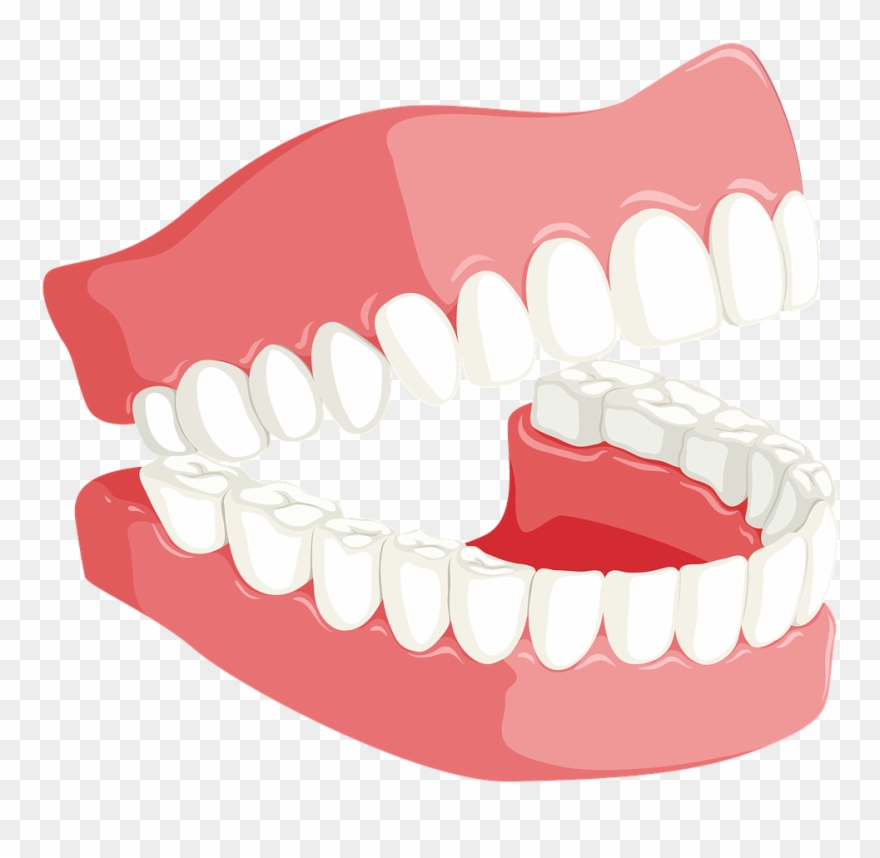 Dentures Clipart - Png Download
