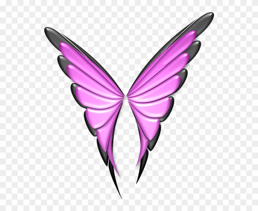 Butterfly Image Clipart