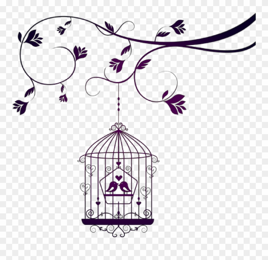Birds Aves Pájaros Pajaros Rama Branch Jaula Cage Amor Clipart