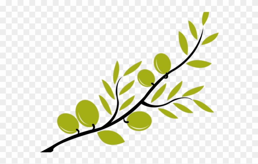 Branch Clipart Olive Branch - Png Download
