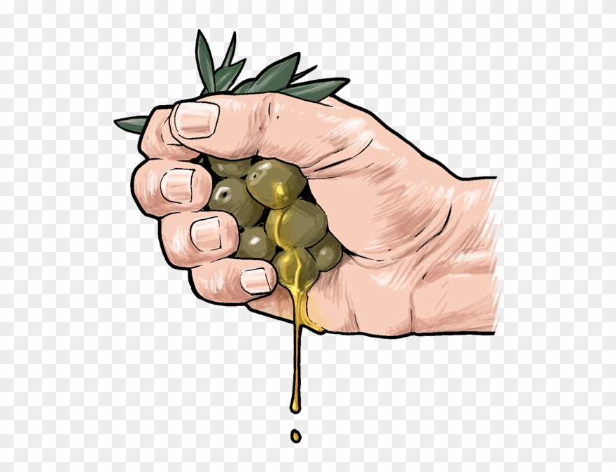 Omega 3 Helps To Maintain Excellent Skin Health And Clipart