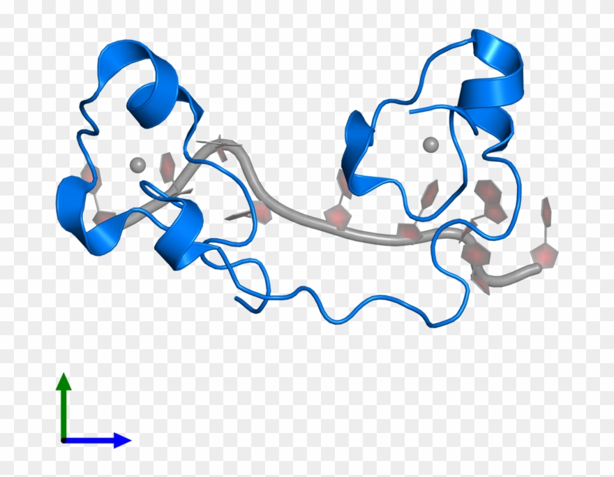 <div Class='caption-body'>pdb Entry 1rgo Contains 1 Clipart