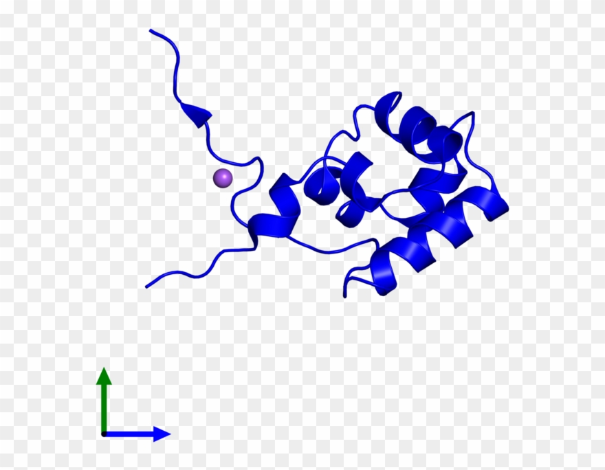 Monomeric Assembly 7 Of Pdb Entry 3k4g Coloured By Clipart