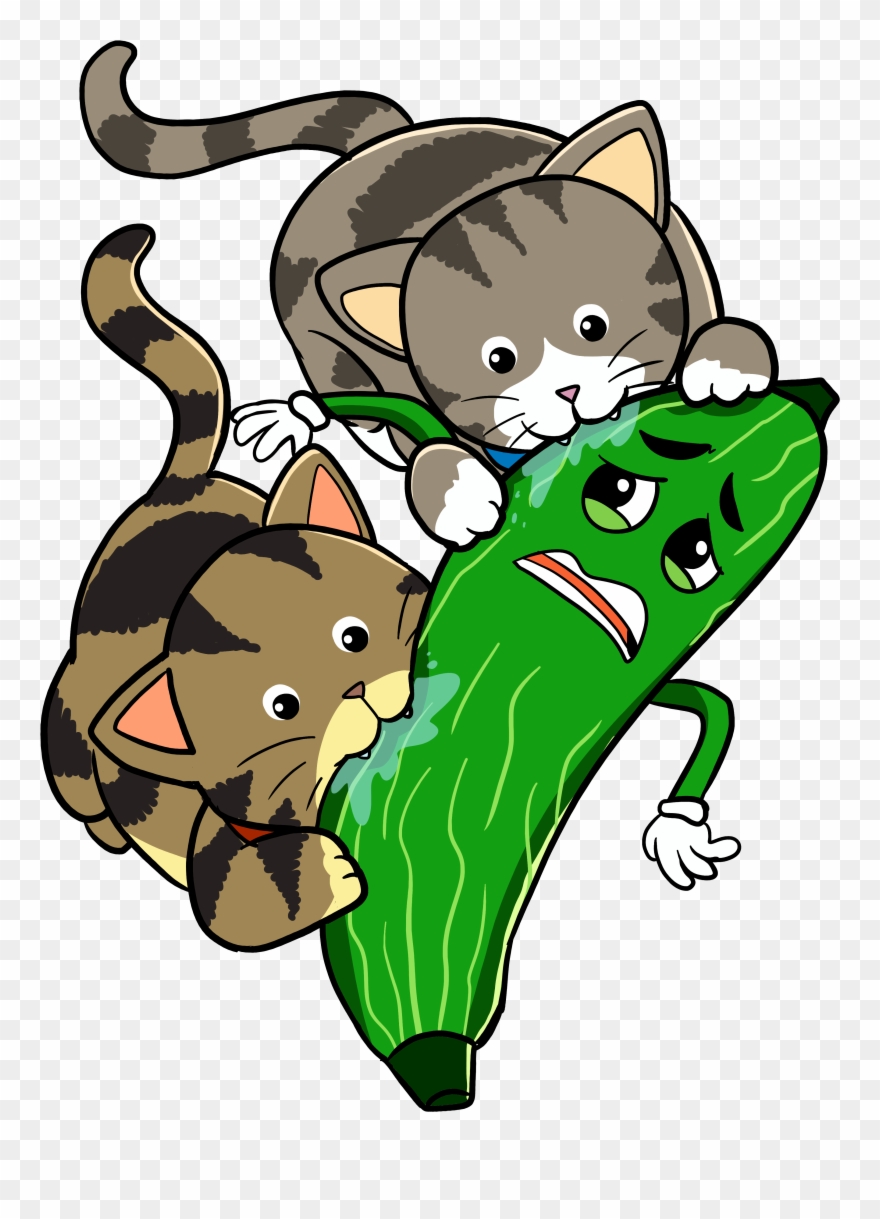 Order Your Copy Clipart