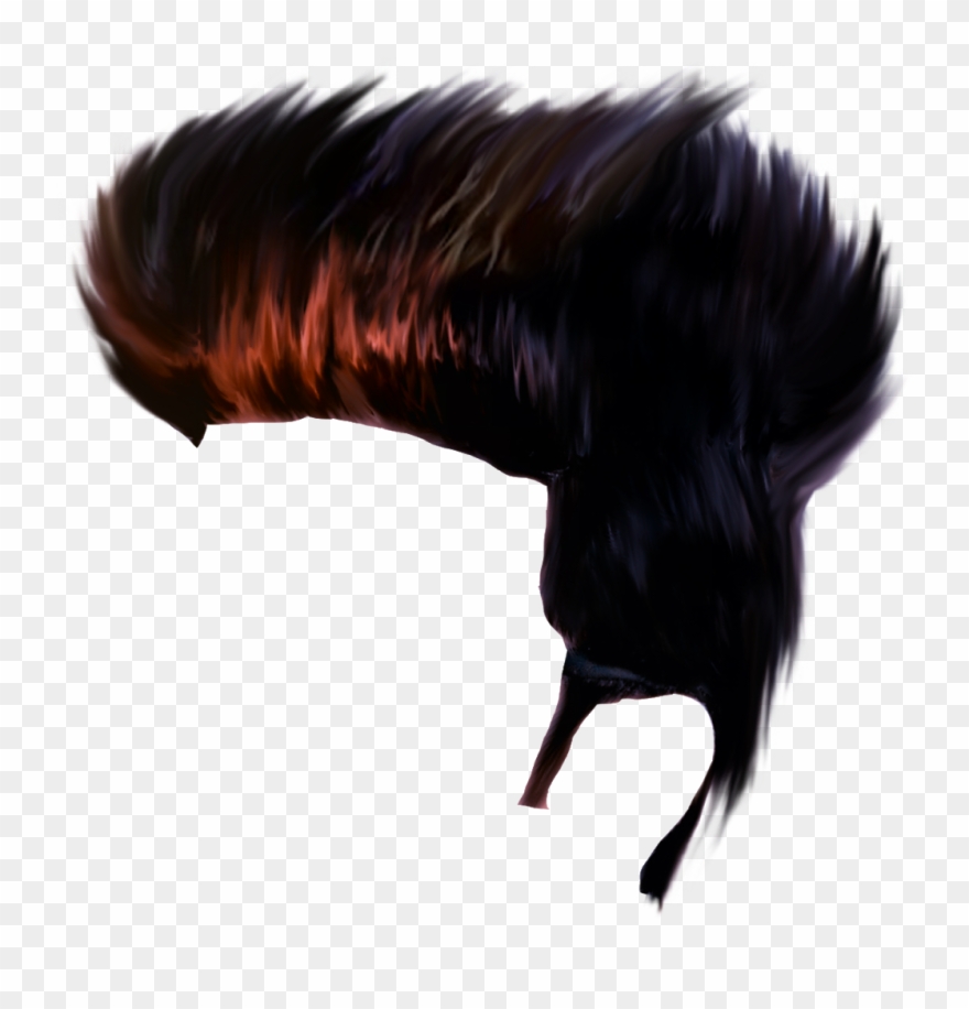 Hair Png, Picsart, Hairstyle, Backgrounds, Hair Job, Clipart