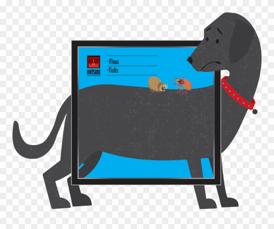 Ticks And Fleas Inhabit The Outside Of A Dog Clipart