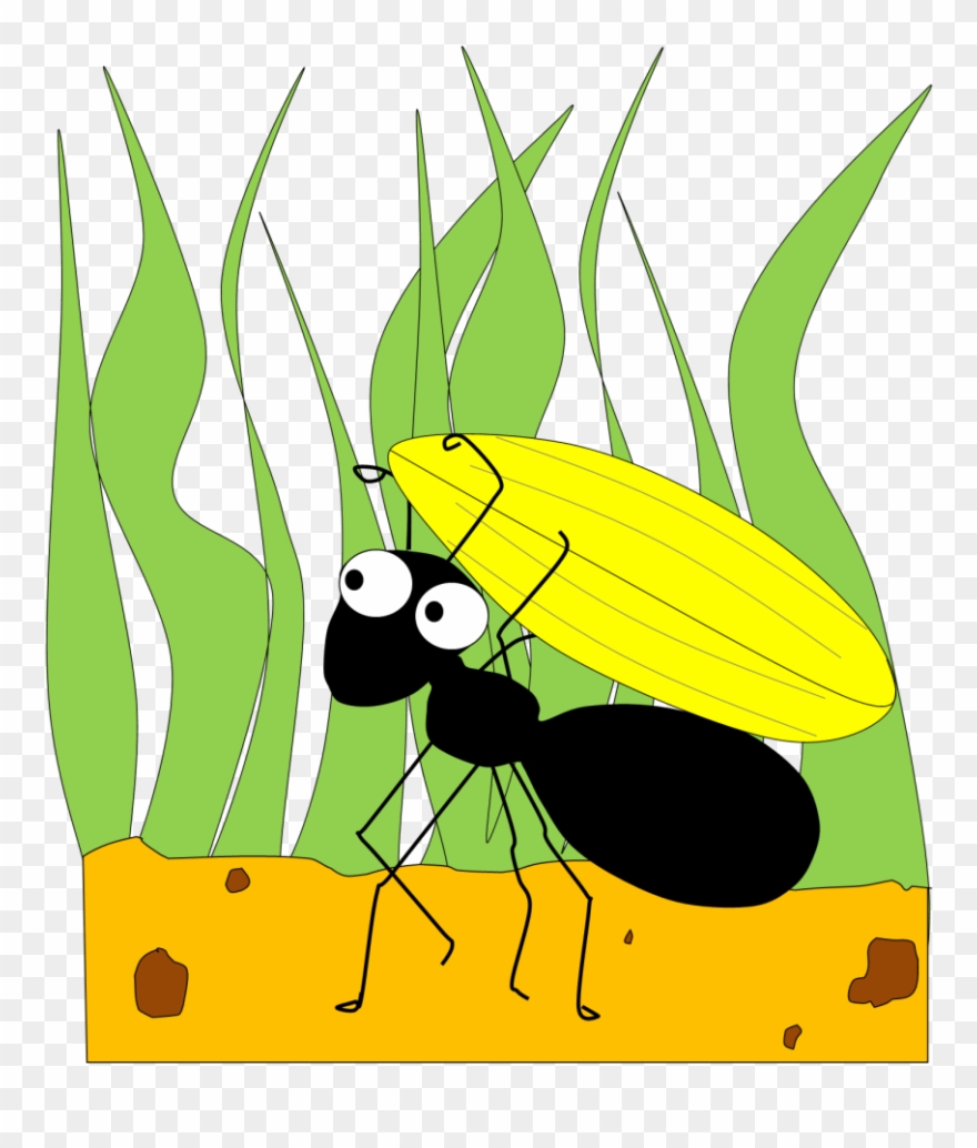 Ant Clipart - Png Download