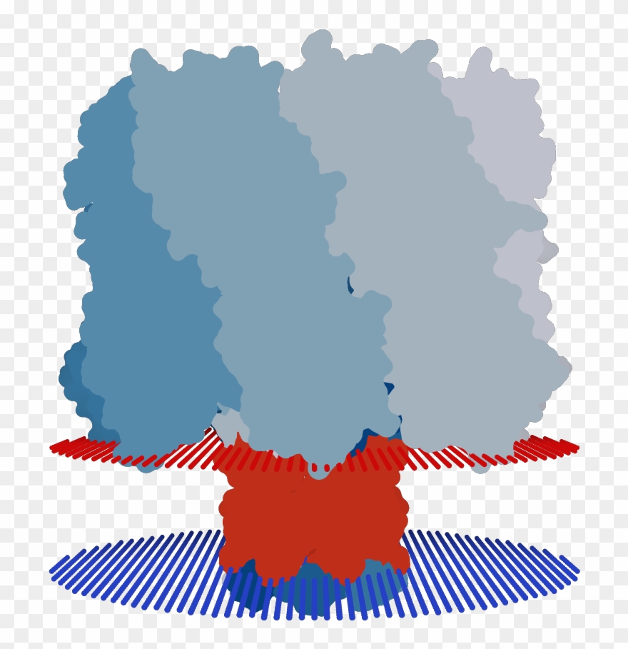 Transmembrane Flat Surface Display Opm Clipart
