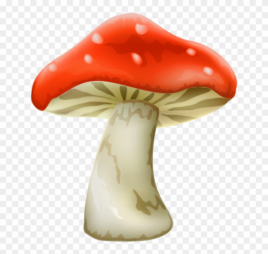 Pin Mushroom Clipart Red Mush - Png Download