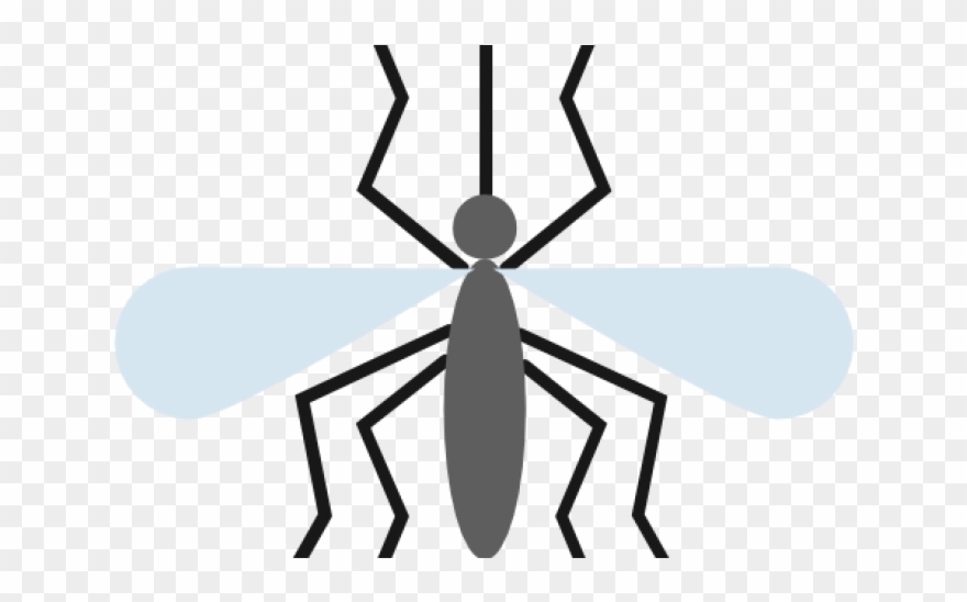 Health Officials See Increased Risk Of Mosquito-borne Clipart