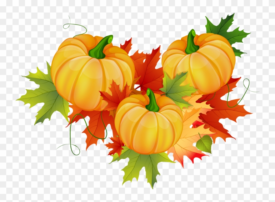 See Here Pumpkin Clipart Black And White Free Images - Png Download
