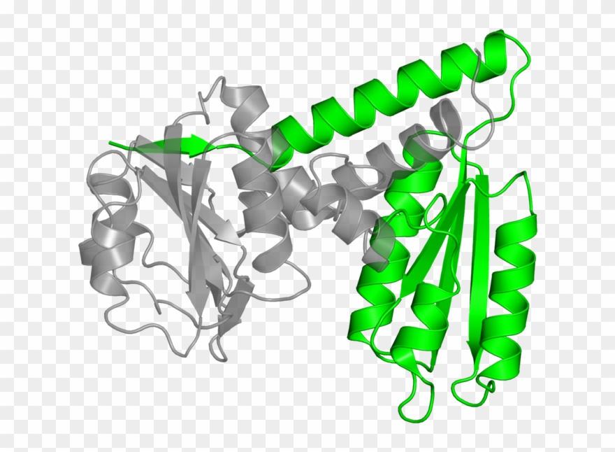 <div Class='caption-body'>1 Copy Of Scop Domain < Clipart