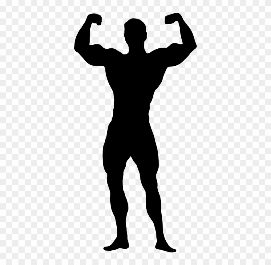 Female Bodybuilding Clip Art - Png Download