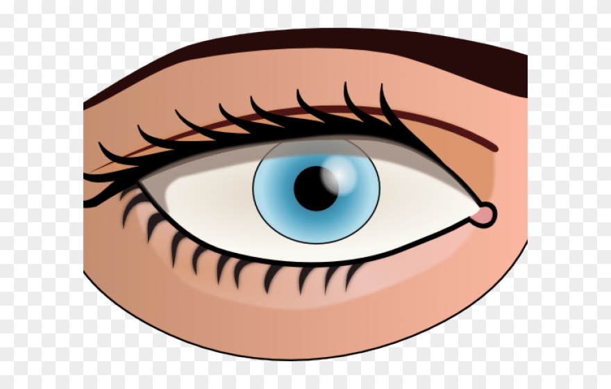 Eye Art Clip - Png Download