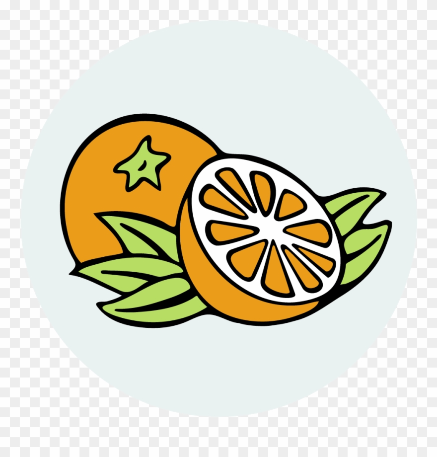 Oranges Clipart