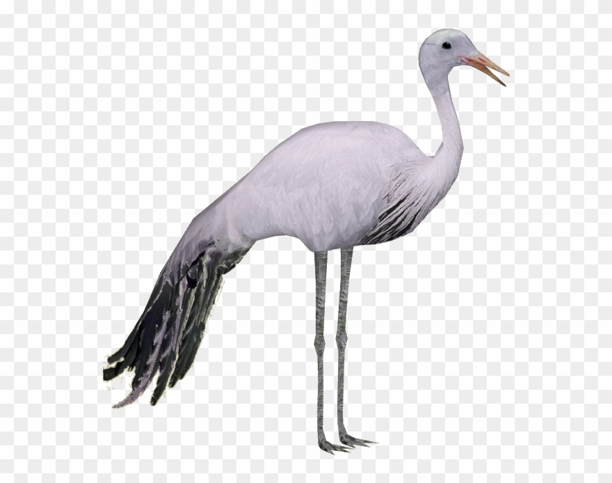 Blue Crane Clipart