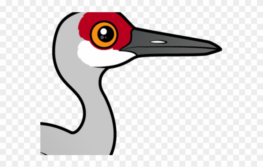Sandhill Crane Clipart Greater - Png Download