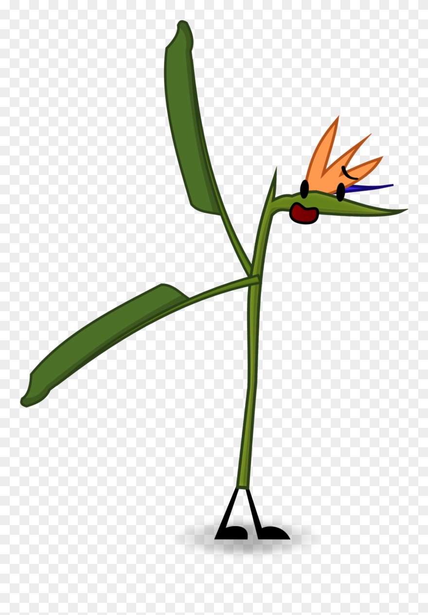 Crane Flower Clipart