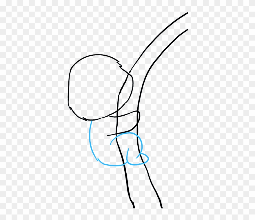 How To Draw Koala Clipart