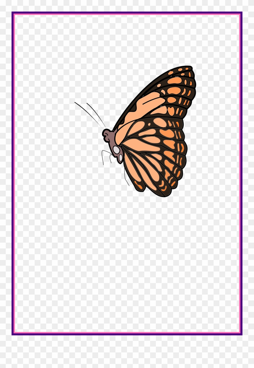 Marvelous Butterfly By Siddymcbill Brown And Orange Clipart