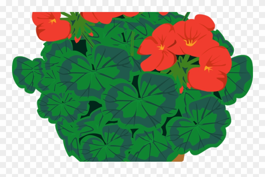 Free Pictures Of Flower Pot, Download Free Clip Art, - Png Download