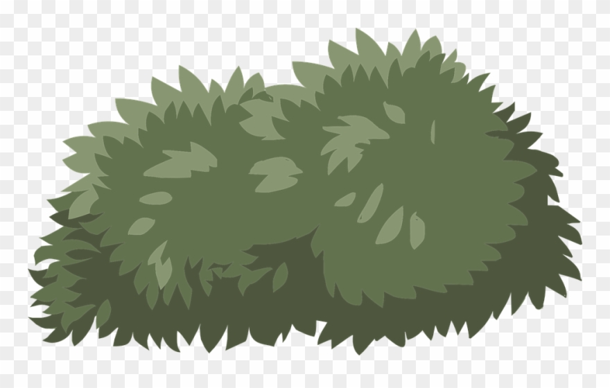 Shrubs, Architecture, Shade Shrubs, Shrub Clipart