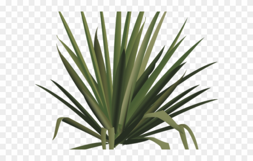Shrub Clipart Desert - Png Download