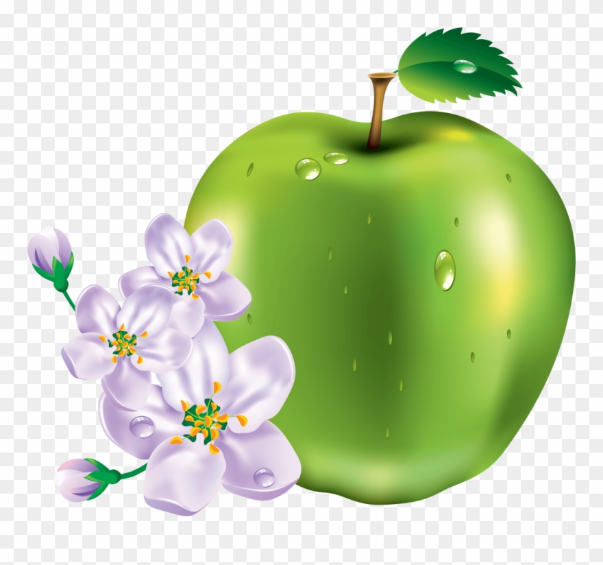 Green Apple Png Image Clipart