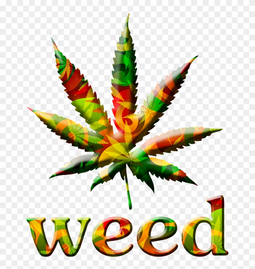 New Facts About Weed Clipart