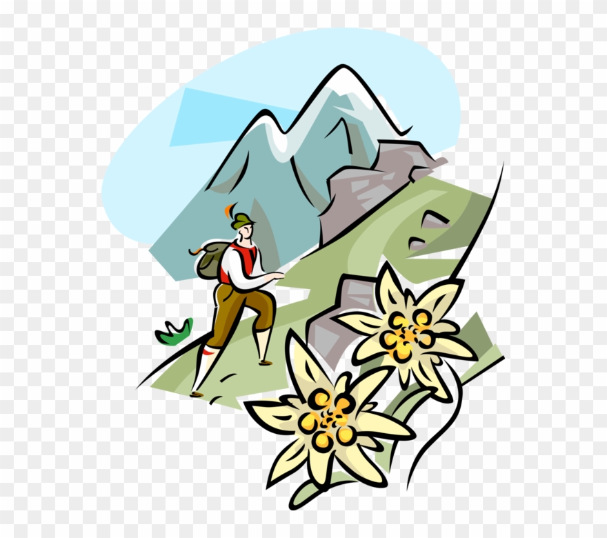 Vector Illustration Of Mountain Guide Hiking In The Clipart