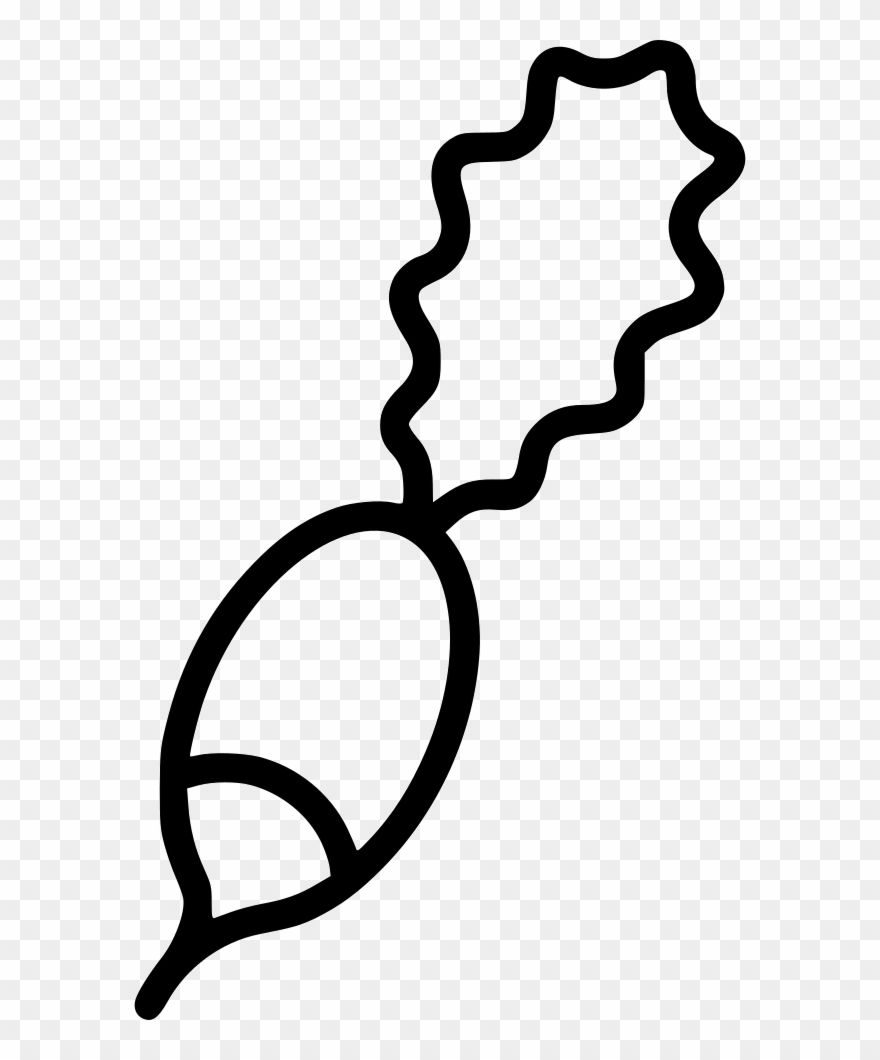 Radish Comments Clipart