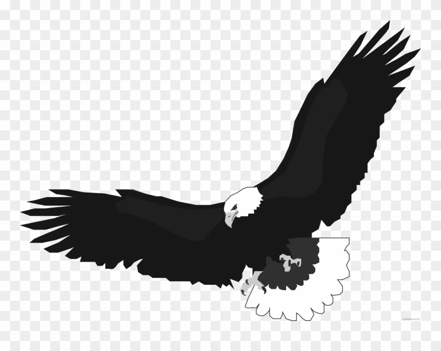 Eagles Clipart Eagle Polish - Png Download