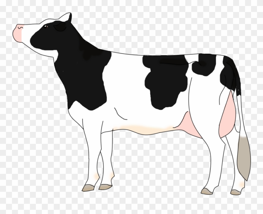 Beef Vector Hereford Cow Clipart