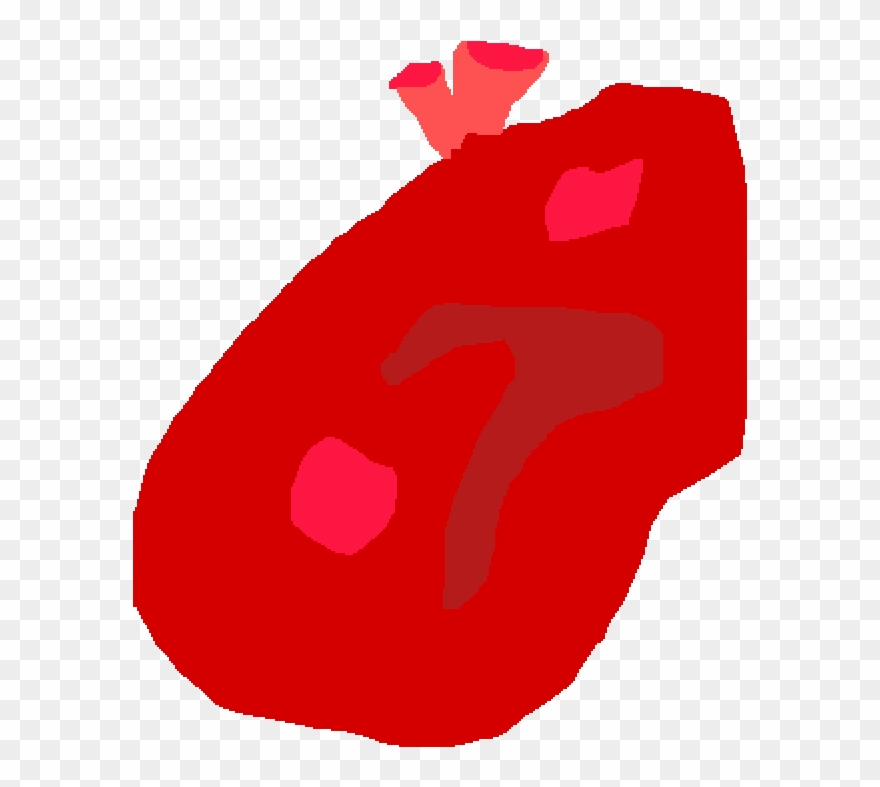 Human Heart Clipart