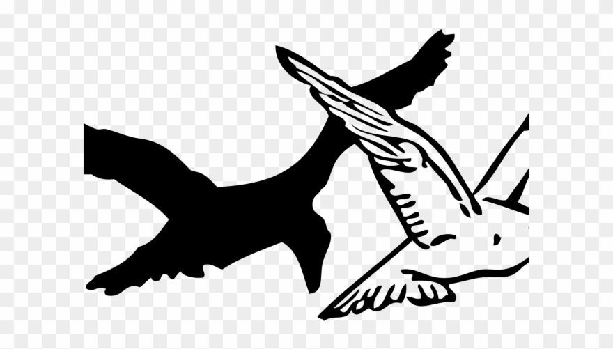 Crow Clipart Stencil - Png Download