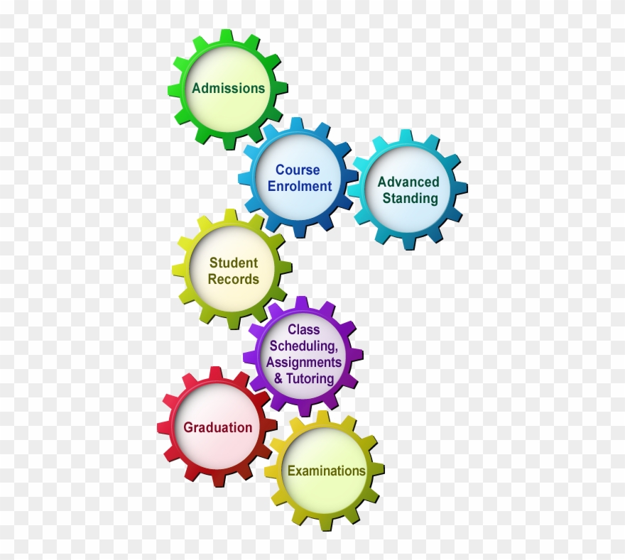 Clip Art Freeuse Library The Open University Of Hong - Png Download