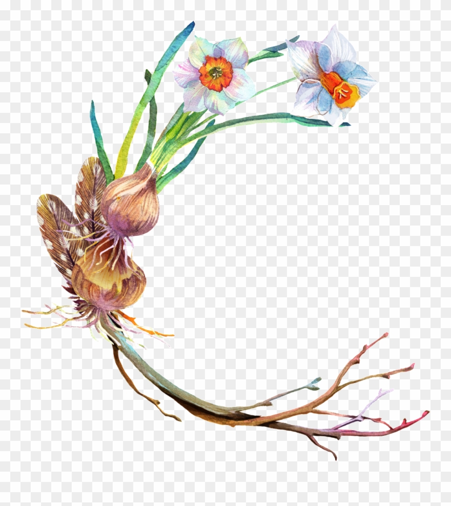 Fungus Mushroom Transparent Decorative Clipart