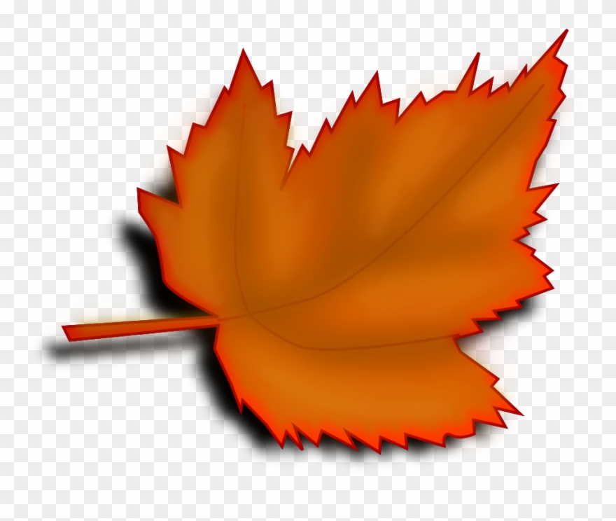 Leaf 3a Clipart