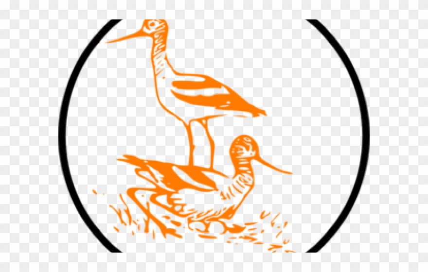 Crane Clipart Marsh - Png Download