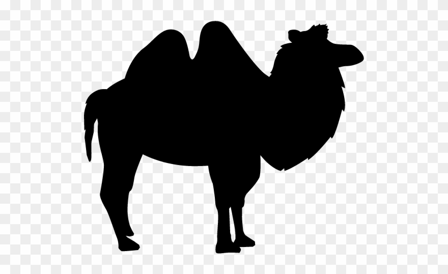 Camel - Silhouette - Animals Illustration Clipart