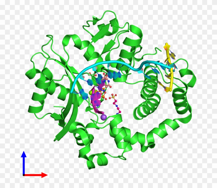Pdb 5vzd Coloured By Chain And Viewed From The Front Clipart