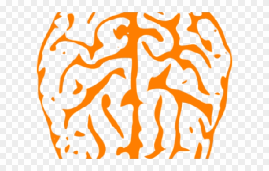 Brain Clipart Orange - Png Download