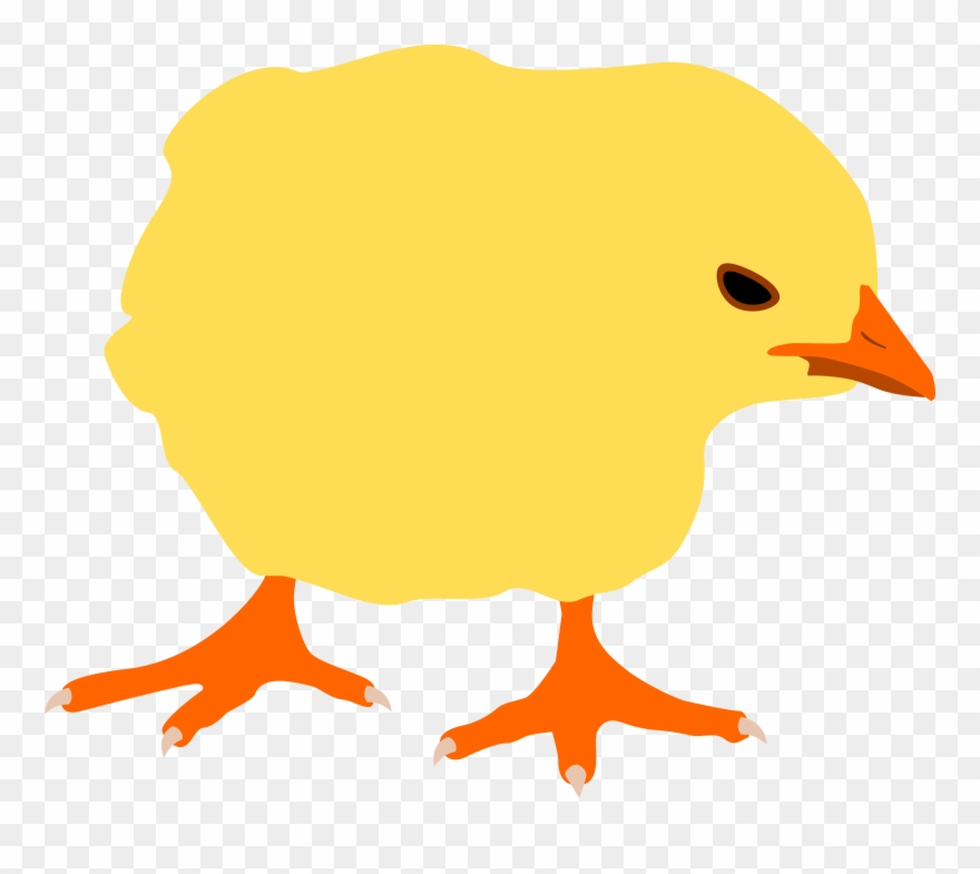 Chicken Clipart