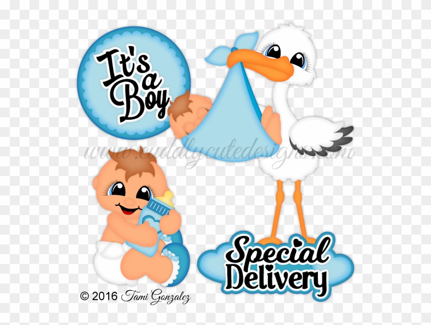 It's A Boy Pet Rocks, Cute Designs, Rock Animals, Big - Painting Clipart