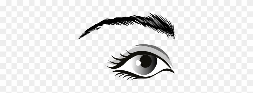 Human Eye Organ Drawing Globe - Eyes Image Drawing Png Clipart