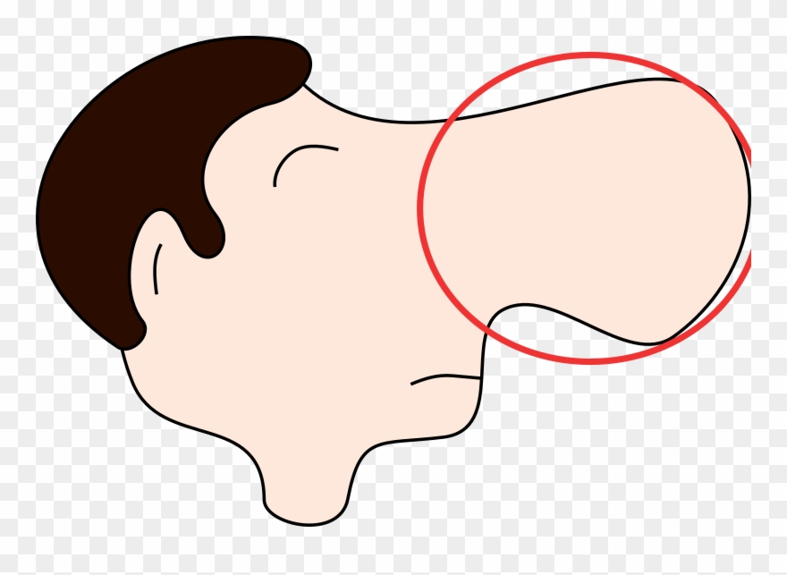 Clip Art Nose Clipart - Png Download