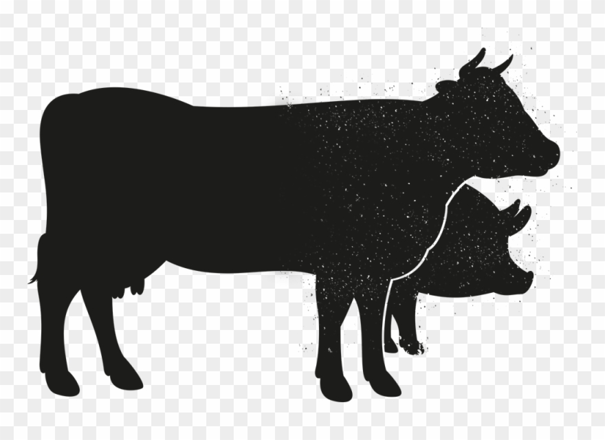 Brown Eyes Clipart - Cattle - Png Download